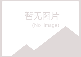 邙山区旧梦出版有限公司